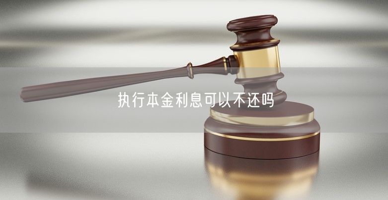 执行本金利息可以不还吗