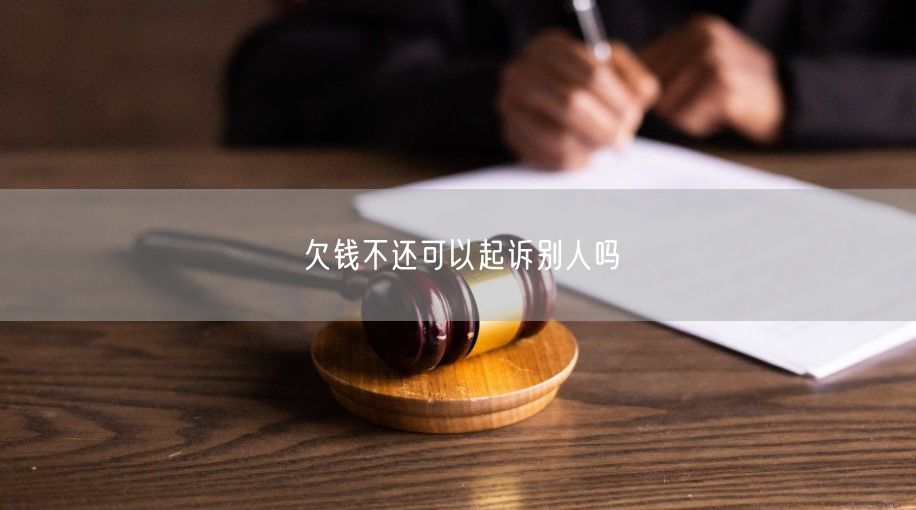 欠钱不还可以起诉别人吗