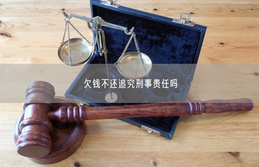 欠钱不还追究刑事责任吗