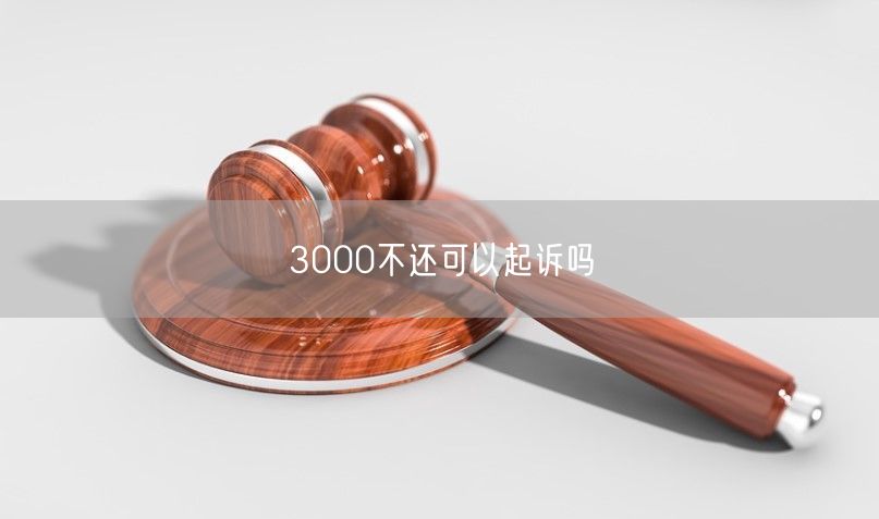 3000不还可以起诉吗