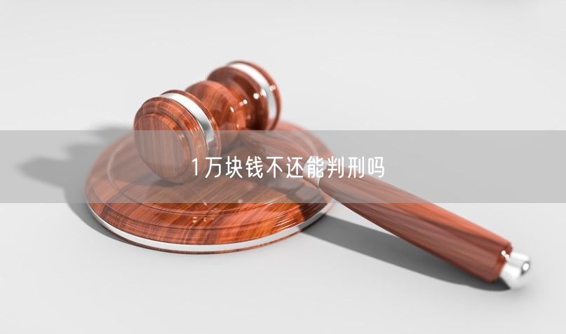 1万块钱不还能判刑吗