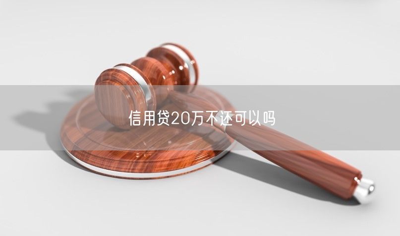 信用贷20万不还可以吗