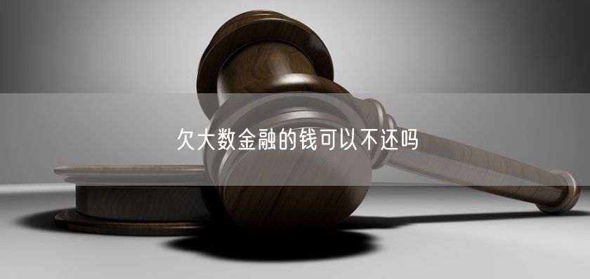 欠大数金融的钱可以不还吗