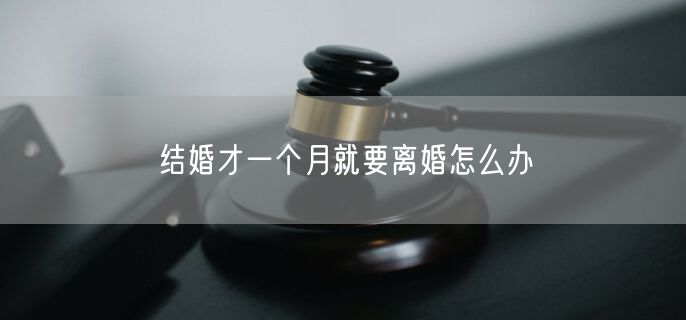 结婚才一个月就要离婚怎么办