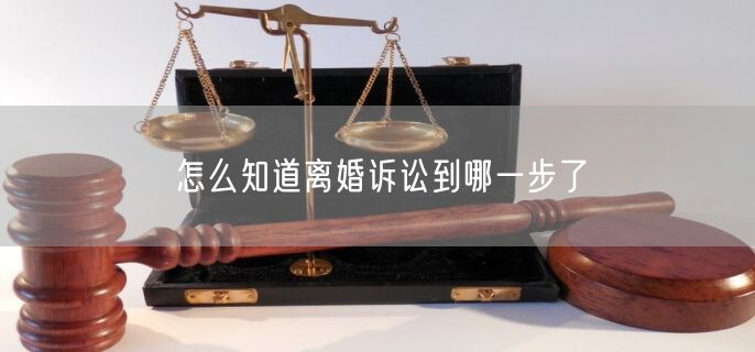 怎么知道离婚诉讼到哪一步了