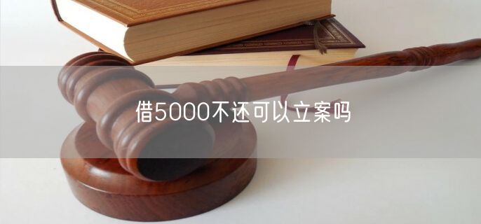 借5000不还可以立案吗