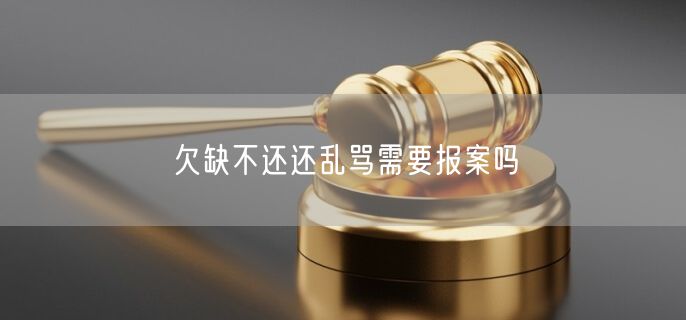 欠缺不还还乱骂需要报案吗