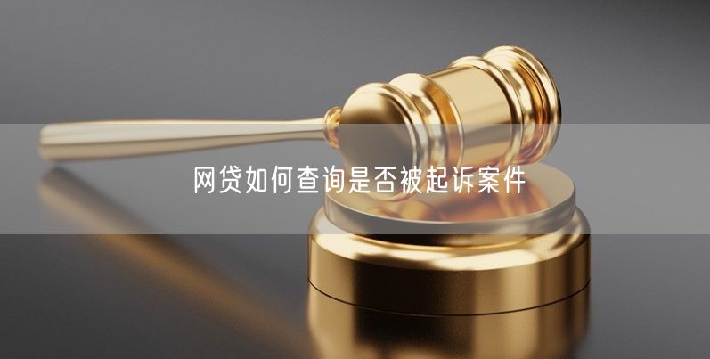 网贷如何查询是否被起诉案件