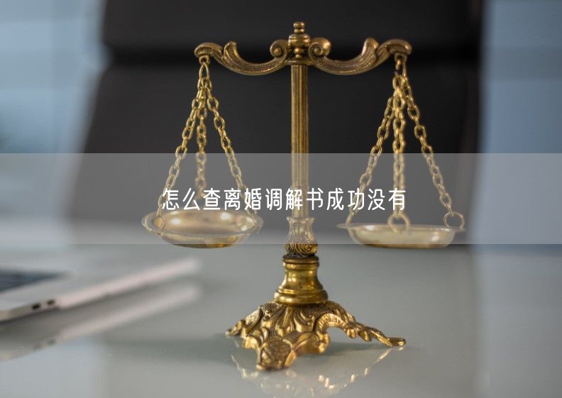 怎么查离婚调解书成功没有