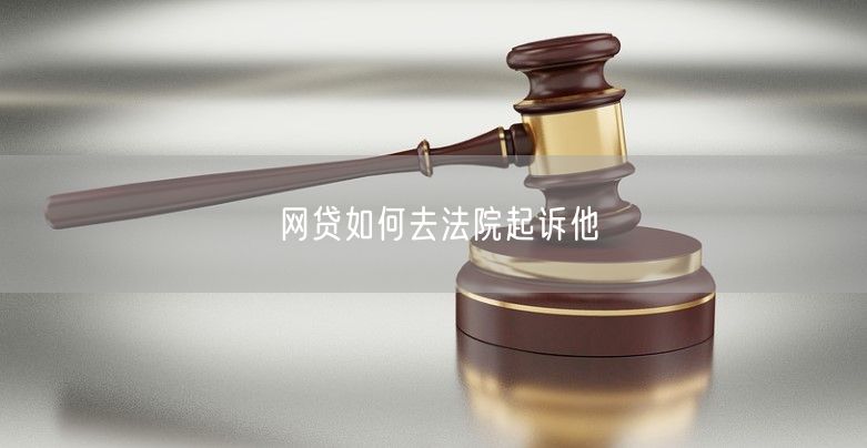 网贷如何去法院起诉他