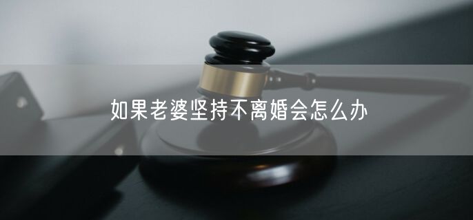 如果老婆坚持不离婚会怎么办