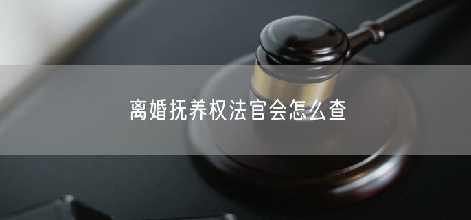 离婚抚养权法官会怎么查