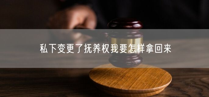 私下变更了抚养权我要怎样拿回来