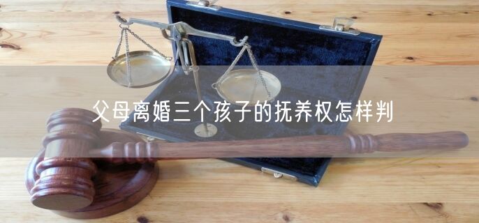 父母离婚三个孩子的抚养权怎样判