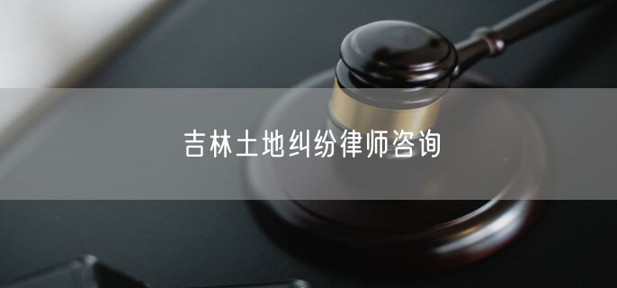 吉林土地纠纷律师咨询