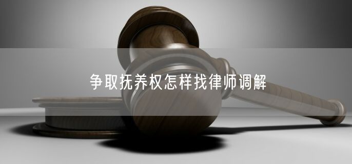 争取抚养权怎样找律师调解