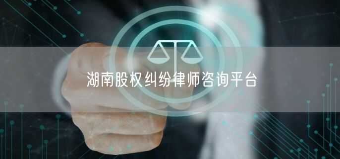 湖南股权纠纷律师咨询平台