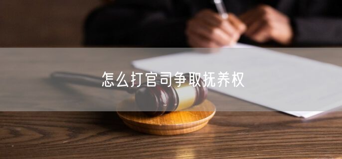 怎么打官司争取抚养权