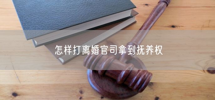 怎样打离婚官司拿到抚养权