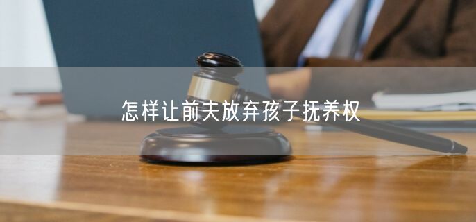 怎样让前夫放弃孩子抚养权