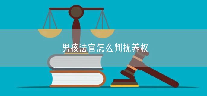 男孩法官怎么判抚养权