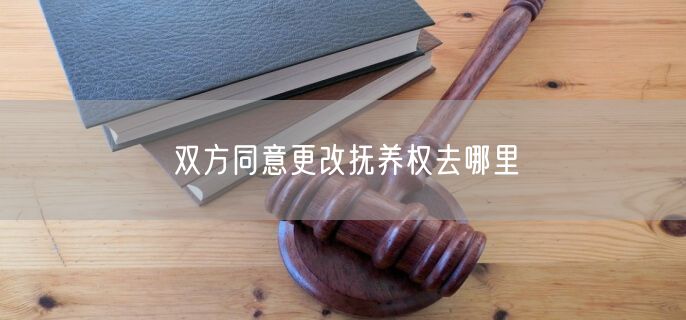 双方同意更改抚养权去哪里