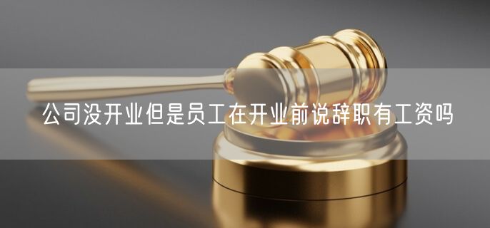 公司没开业但是员工在开业前说辞职有工资吗