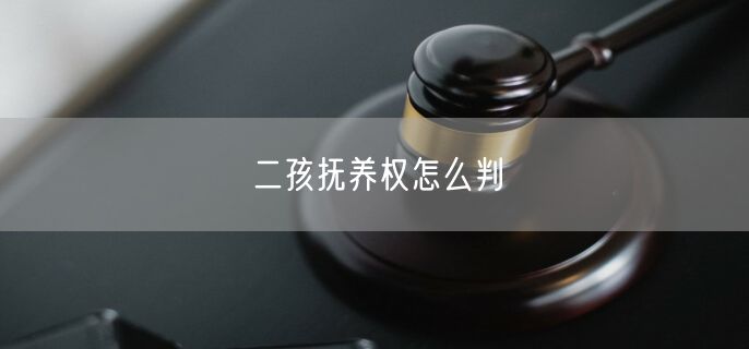 二孩抚养权怎么判