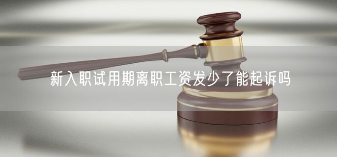 新入职试用期离职工资发少了能起诉吗