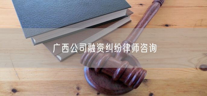 广西公司融资纠纷律师咨询