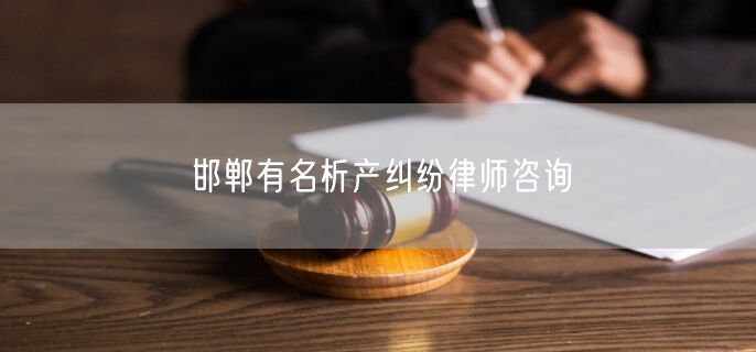 邯郸有名析产纠纷律师咨询