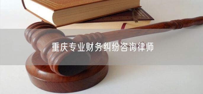 重庆专业财务纠纷咨询律师