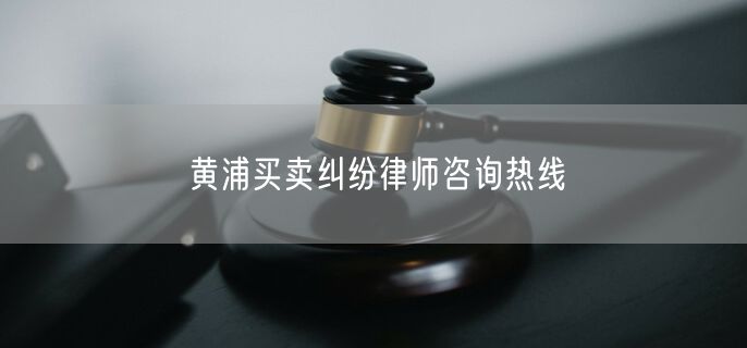 黄浦买卖纠纷律师咨询热线