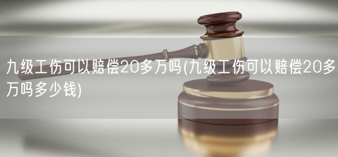 九级工伤可以赔偿20多万吗(九级工伤可以赔偿20多万吗多少钱)