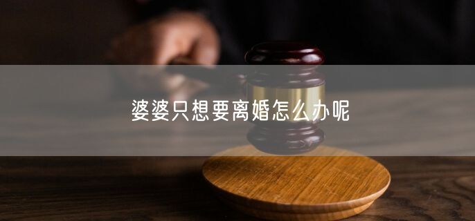 婆婆只想要离婚怎么办呢